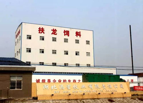 深耕本土，创新制胜 一家湖北小龙虾饲料企业的万吨级突围之路