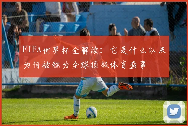 FIFA世界杯全解读:它是什么以及为何被称为全球顶级体育盛事