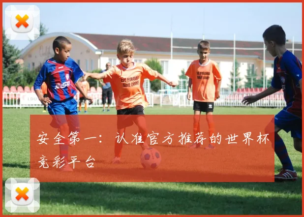 安全第一:认准官方推荐的世界杯竞彩平台