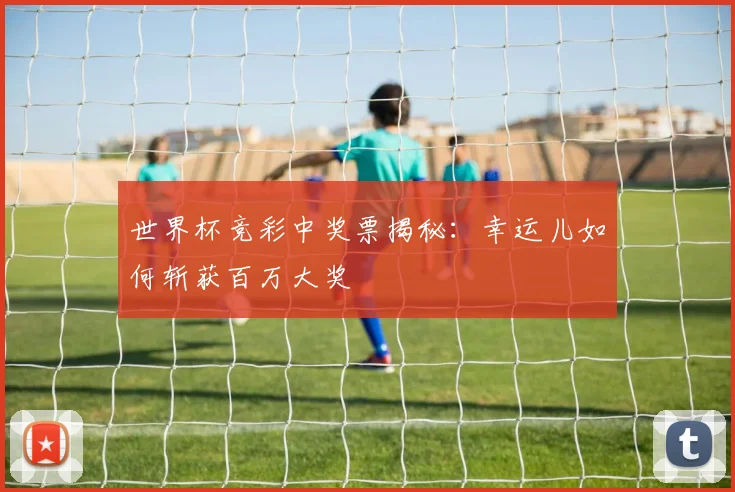 世界杯竞彩中奖票揭秘:幸运儿如何斩获百万大奖
