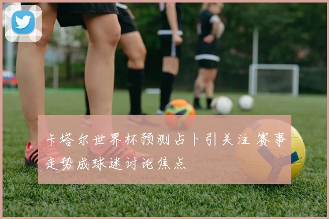 卡塔尔世界杯预测占卜引关注 赛事走势成球迷讨论焦点