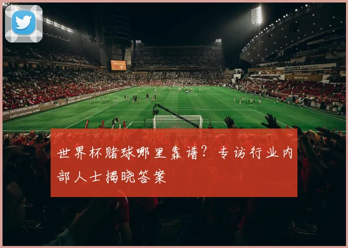 世界杯赌球哪里靠谱？专访行业内部人士揭晓答案