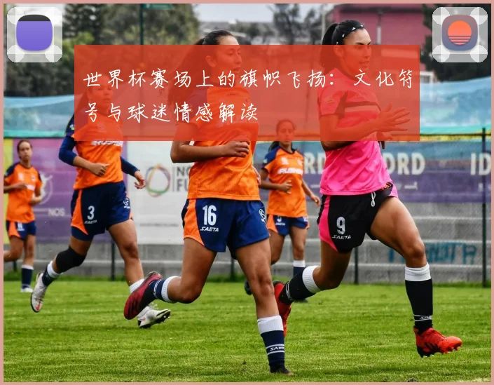 世界杯赛场上的旗帜飞扬：文化符号与球迷情感解读