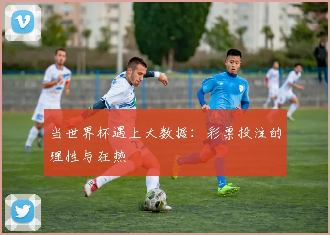 当世界杯遇上大数据：彩票投注的理性与狂热
