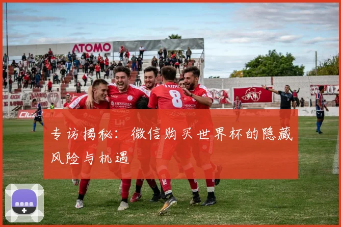 专访揭秘:微信购买世界杯的隐藏风险与机遇