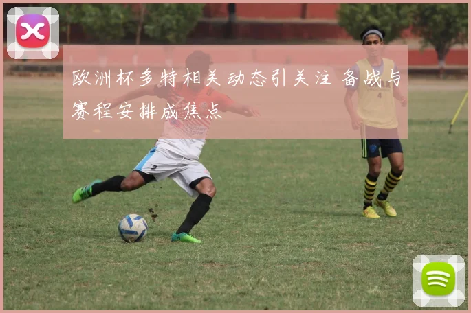 欧洲杯多特相关动态引关注 备战与赛程安排成焦点