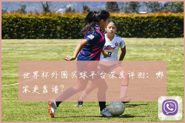 世界杯外围买球平台深度评测：哪家更靠谱？