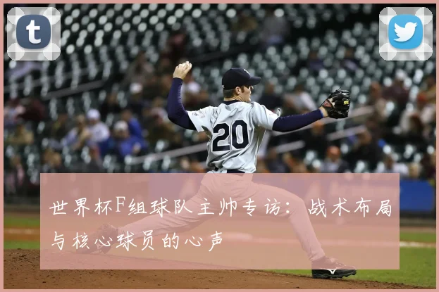 世界杯F组球队主帅专访:战术布局与核心球员的心声