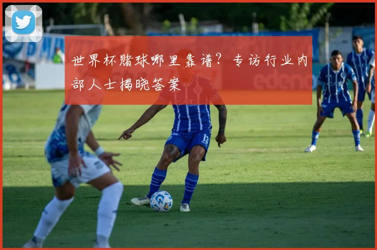 世界杯赌球哪里靠谱？专访行业内部人士揭晓答案