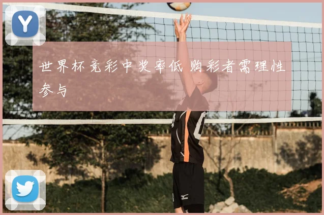 世界杯竞彩中奖率低 购彩者需理性参与
