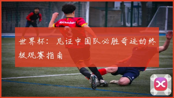 世界杯:见证中国队必胜奇迹的终极观赛指南